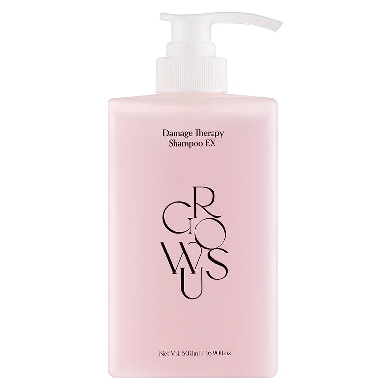 Nouveaux produits capillaires